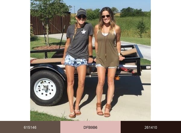 Shanty2Chic brand color palette