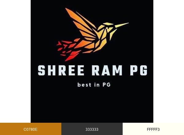Shree Ram PG brand color palette