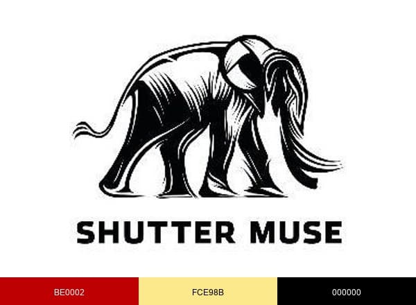 Shutter Muse brand color palette