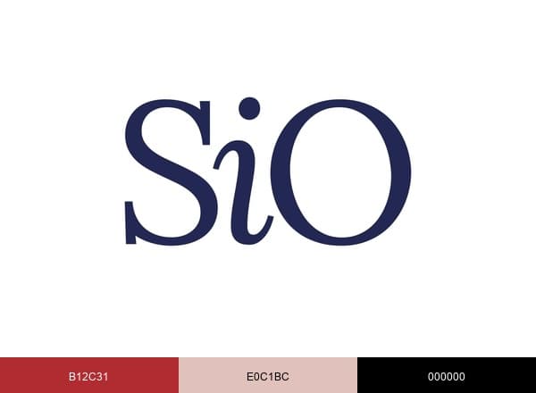 – SIO Beauty brand color palette