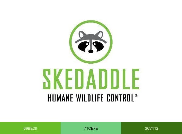 Skedaddle Humane Wildlife Control brand color palette