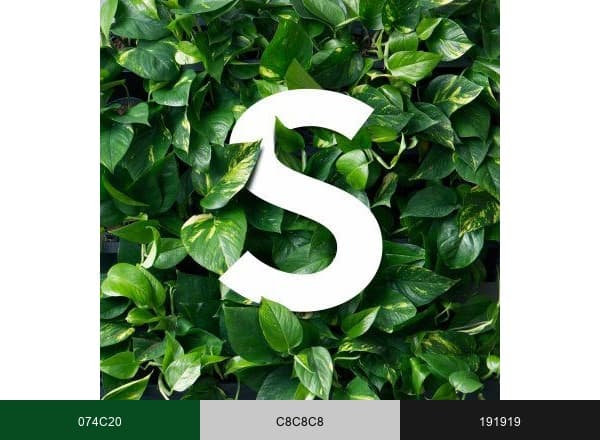 Skogluft brand color palette