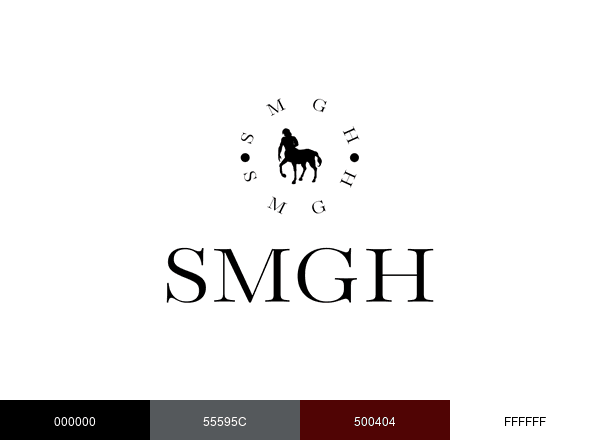 SMGH Group brand color palette
