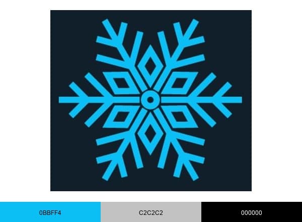SnoCare Services brand color palette