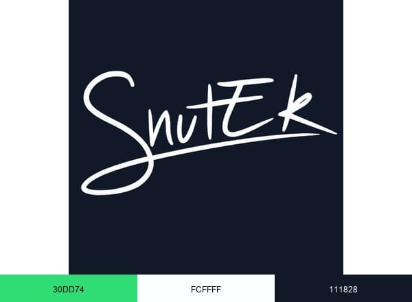 SnuTek brand color palette
