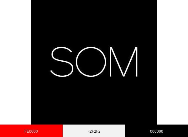 Skidmore brand color palette