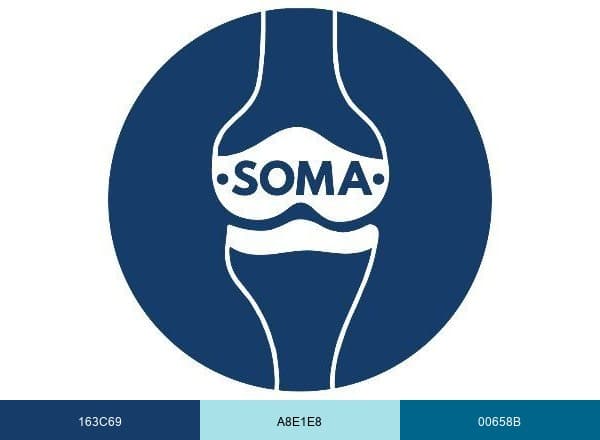 SOMA brand color palette