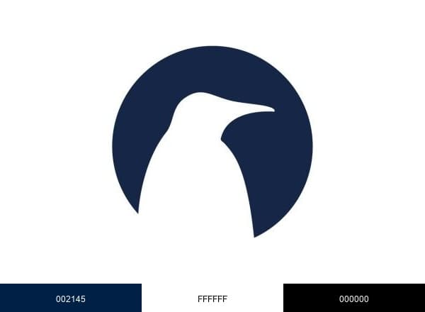 South Pole brand color palette