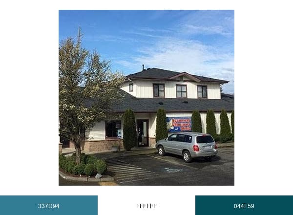 Spanaway Vet Clinic brand color palette