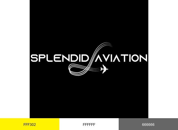Splendid Aviation brand color palette