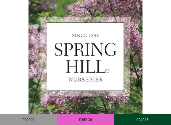 Spring Hill Nurseries brand color palette