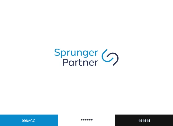 Sprunger Partner brand color palette