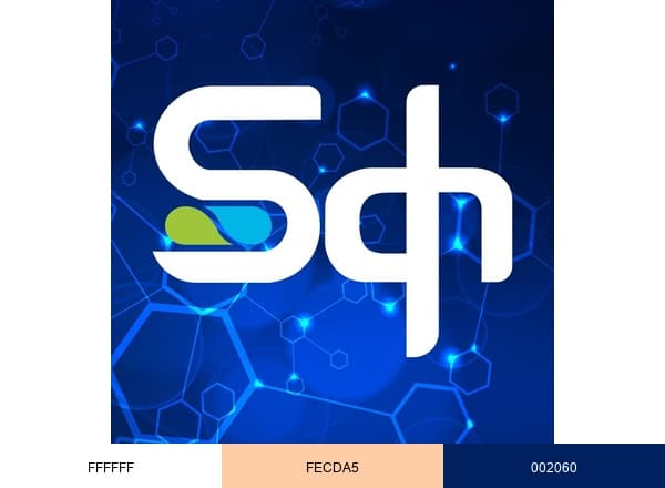 SQHealth Motion brand color palette
