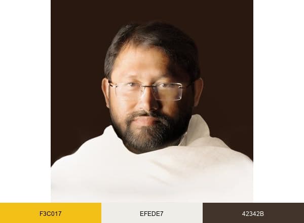 Shrimad Rajchandra Mission Dharampur brand color palette
