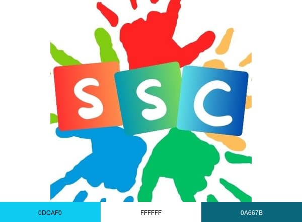 SSColoring brand color palette