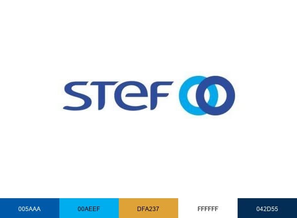STEF Group brand color palette