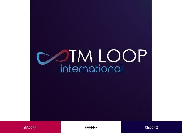 STMLoop International brand color palette