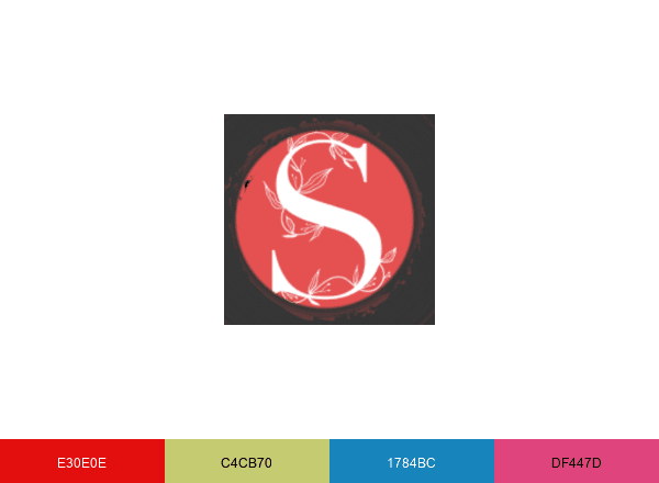 STUDYSHOOT brand color palette