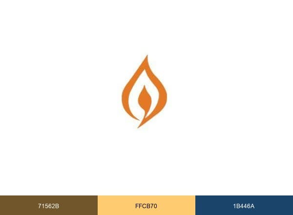 CASP brand color palette