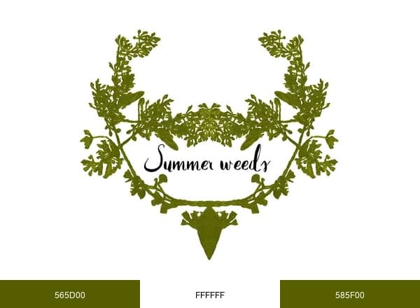 Summer Weeds brand color palette