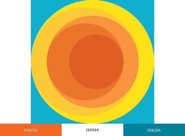 Suncoast Credit Union brand color palette