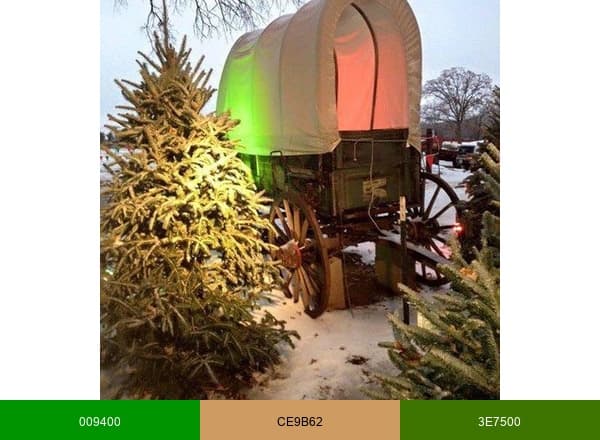 Sunset Hill Tree Farm brand color palette