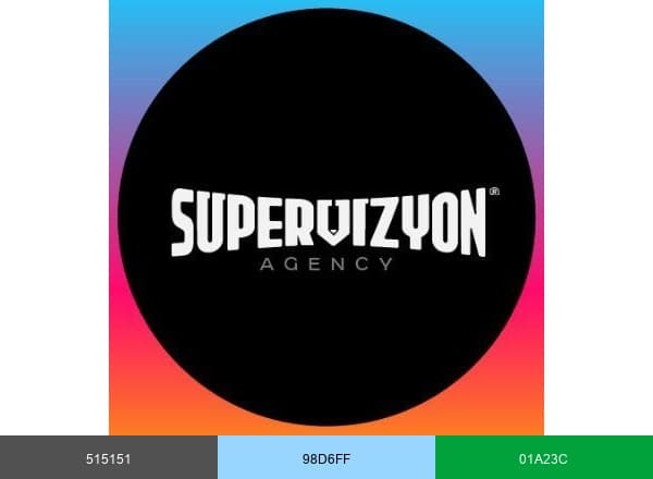 Süpervizyon brand color palette