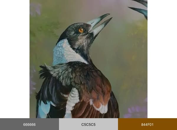 Swapnil Nevgi Fineart brand color palette