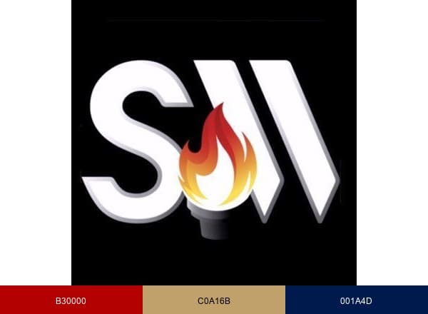 Swimming World brand color palette