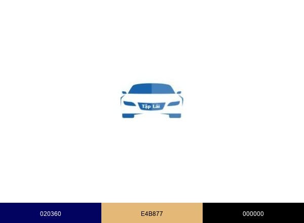 Học bằng lái xe ô tô brand color palette