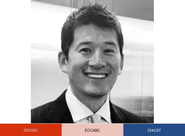 Tax Lawyers Group brand color palette