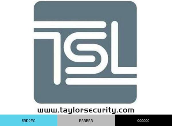 Taylor Security brand color palette