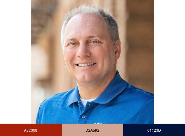 Steve Scalise brand color palette