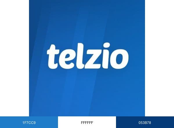 Telzio brand color palette