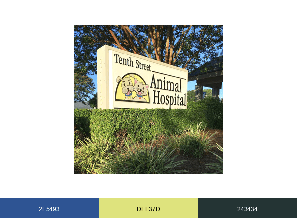 Tenth Street Animal Hospital brand color palette