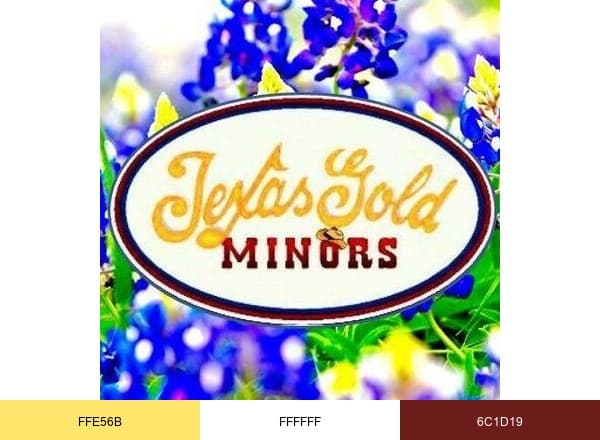 TexasGoldMinors brand color palette
