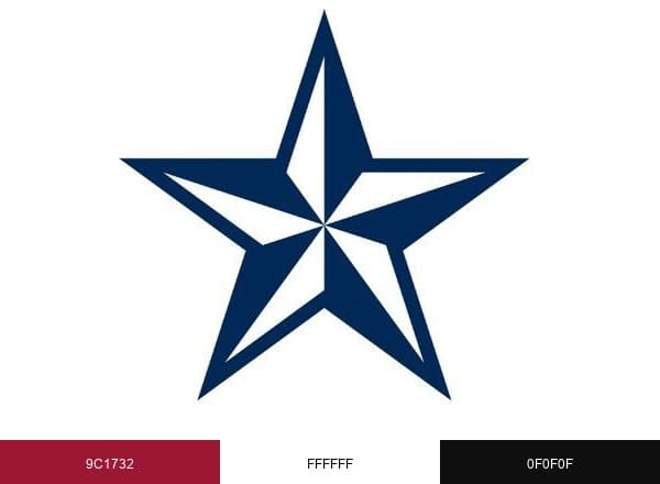Texas Public Policy Foundation brand color palette