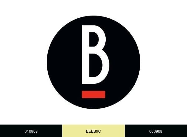 The Berliner Magazine brand color palette