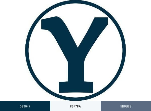 The Y Company brand color palette