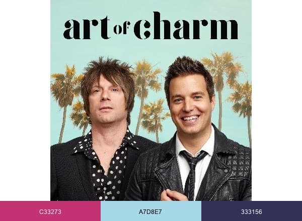 The Art of Charm brand color palette