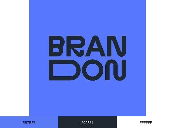 Brandon brand color palette