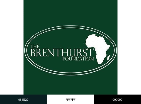 The Brenthurst Foundation brand color palette