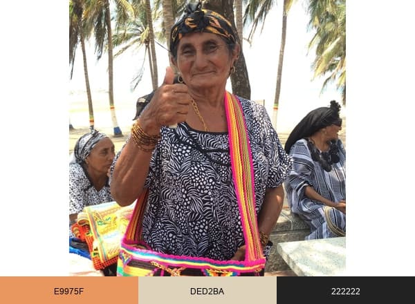 The Buena Onda brand color palette