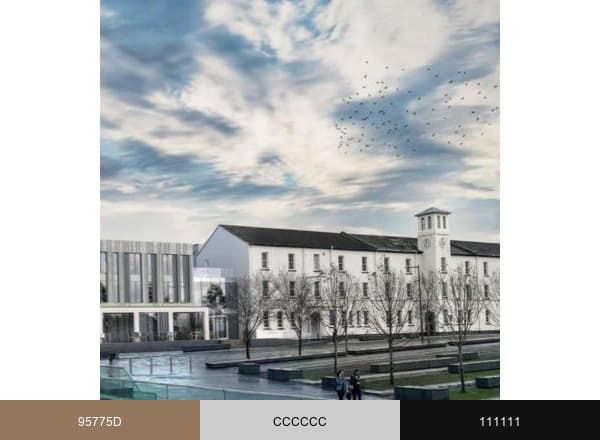 Ebrington Hotel brand color palette