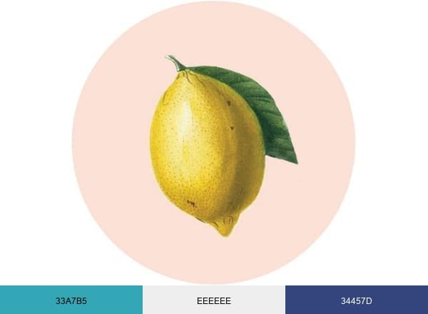 The House That Lars Built brand color palette