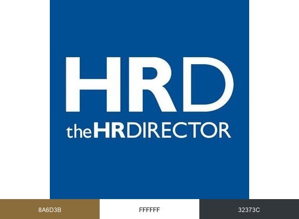 theHRDIRECTOR brand color palette