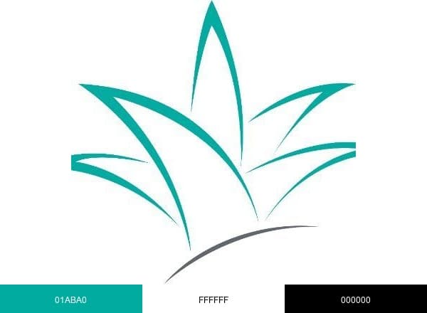 The Iidea Company brand color palette