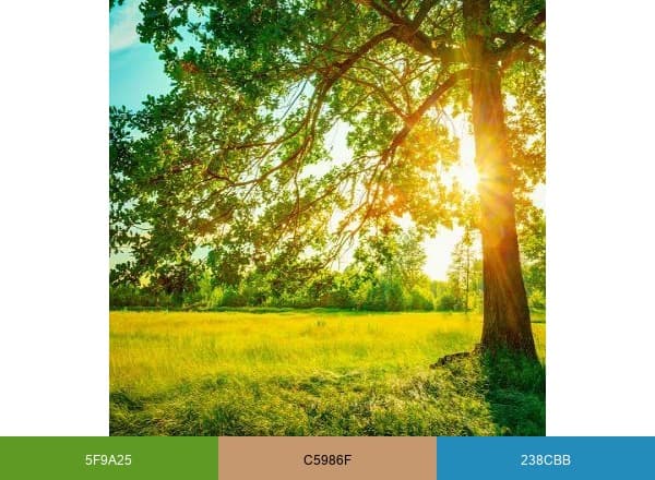 The Living Urn brand color palette