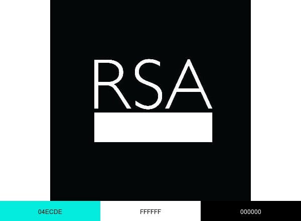 The RSA brand color palette