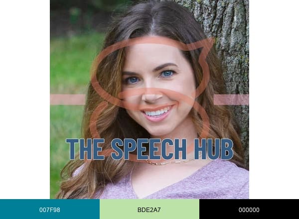The Speech Hub LLC brand color palette